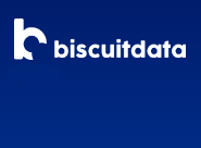 Biscuit SEO platform